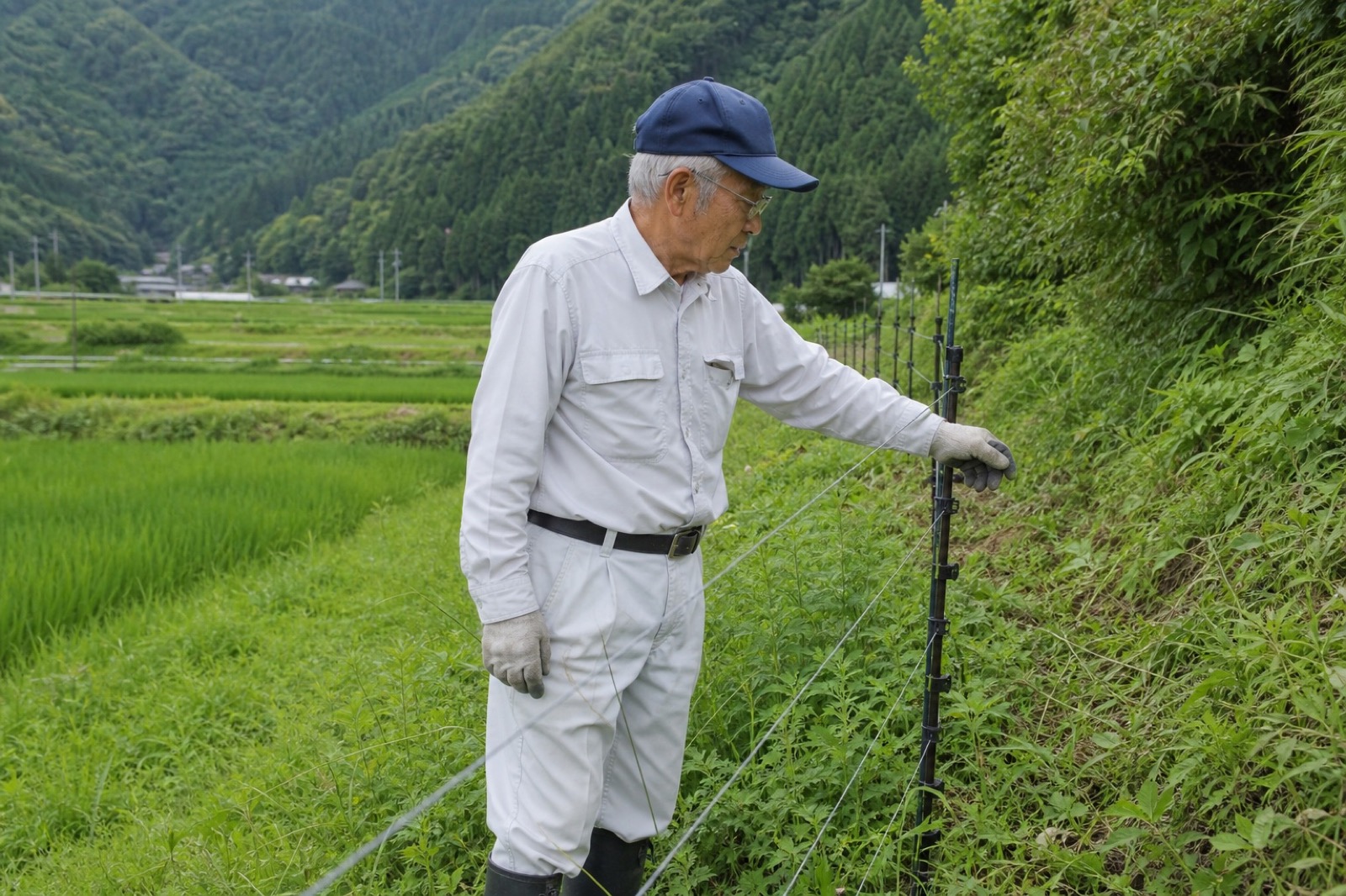 電気柵の点検作業の様子