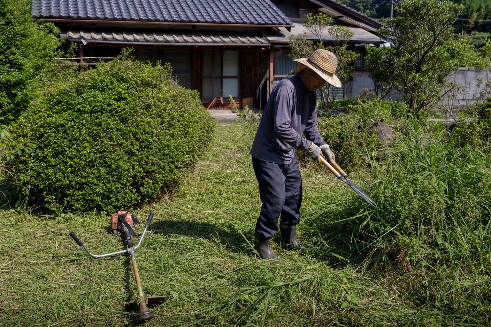 伸びた雑草を刈り取る作業の様子